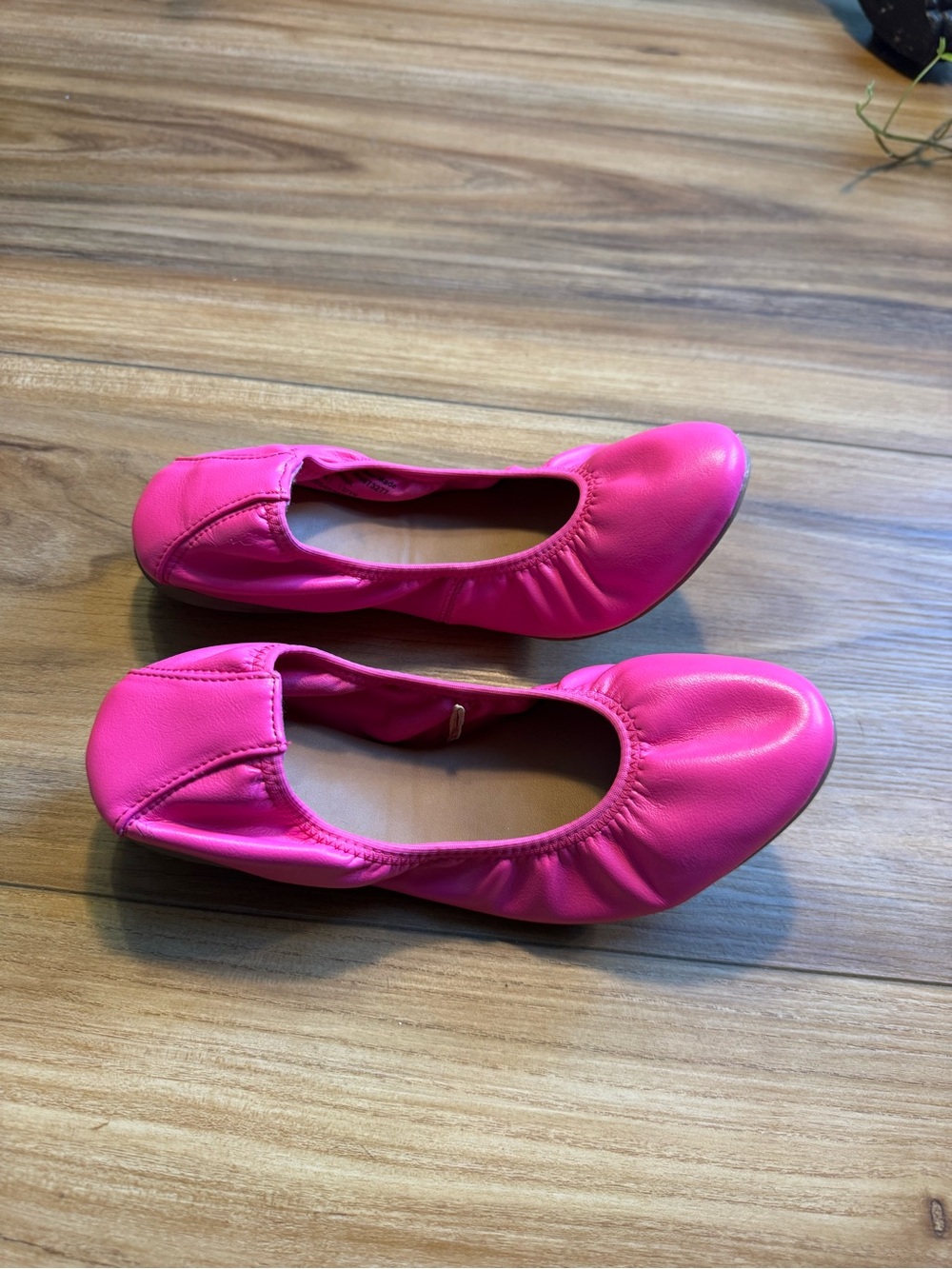 SO Hot Pink Ballet Flats